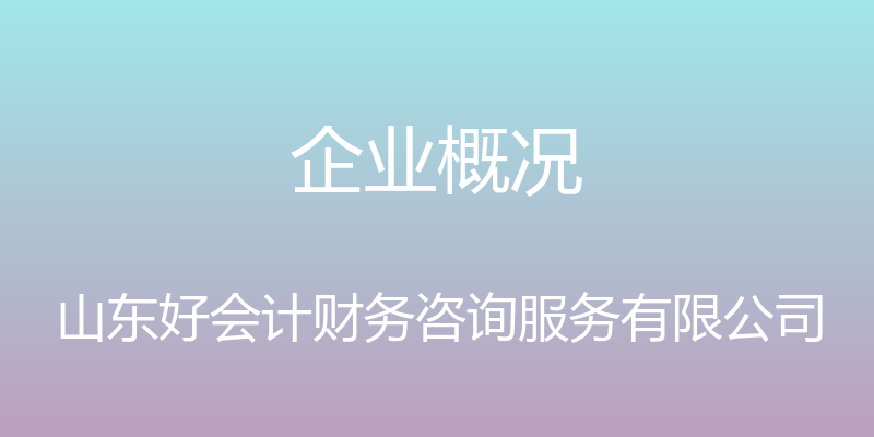 企业概况 - 山东好会计财务咨询服务有限公司